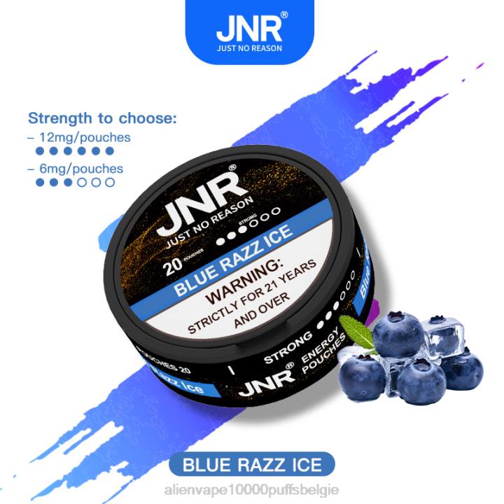 JNR vape prijs blauw razz-ijs HB80R104 JNR ENERGY POUCHES