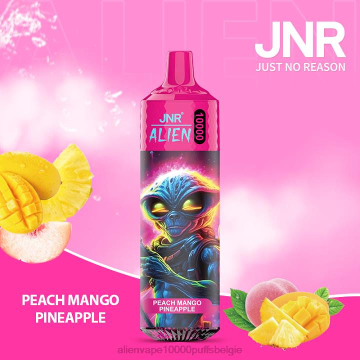 JNR vape flavours perzik-mango-ananas HB80R151 JNR ALIEN