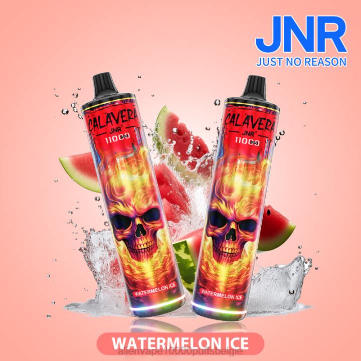 watermeloen ijs