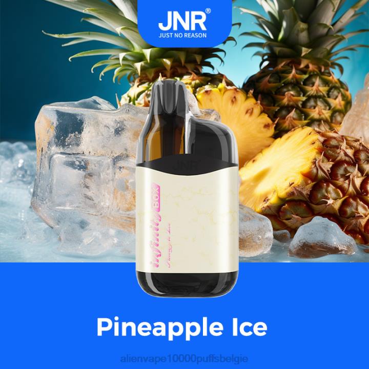 JNR alien kopen ananas ijs HB80R89 JNR INFINITY doos
