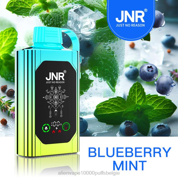 JNR alien kopen bosbessen munt HB80R449 JNR SHISHA doos