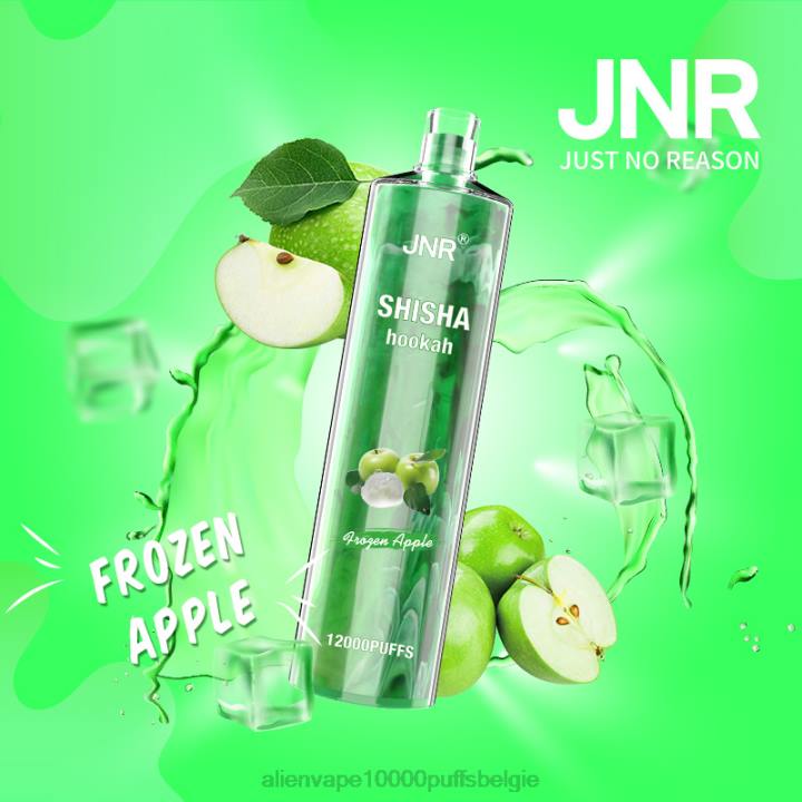 JNR alien kopen bevroren appel HB80R189 JNR SHISHA