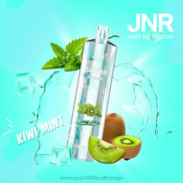 JNR alien kopen kiwi-munt HB80R169 JNR SHISHA