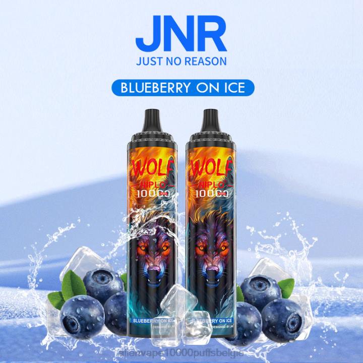 JNR alien vape flavours bosbessen op ijs HB80R358 JNR WOLF niplo