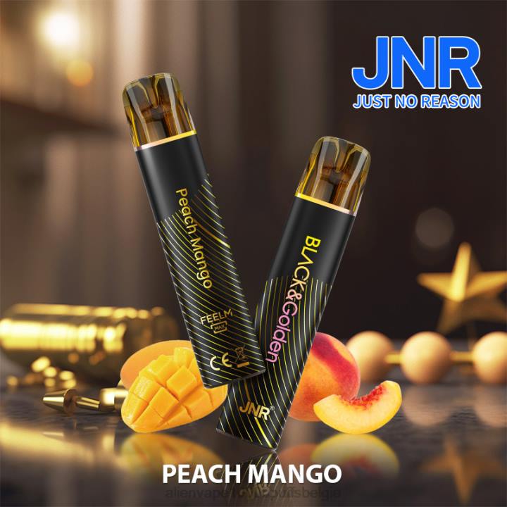 JNR alien kopen perzik-mango HB80R279 JNR BLACK & GLODEN